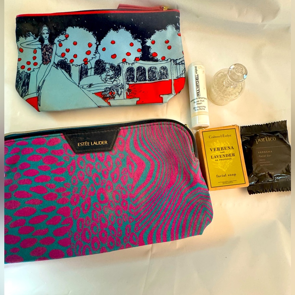 Makeup Bags and Brush Set Plus 3 Samples